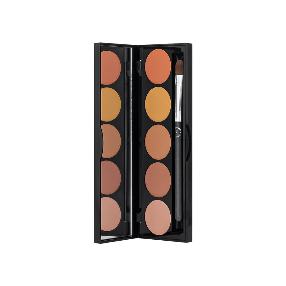 مخفي عيوب باليت Q and A PRO