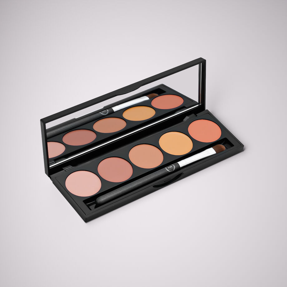 مخفي عيوب باليت Q and A PRO