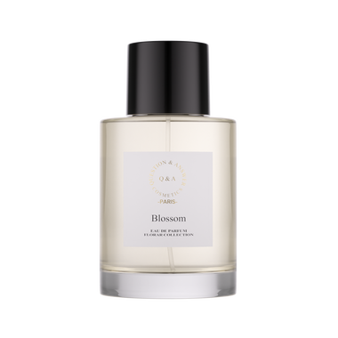 بلوسوم - كيو اند ايه