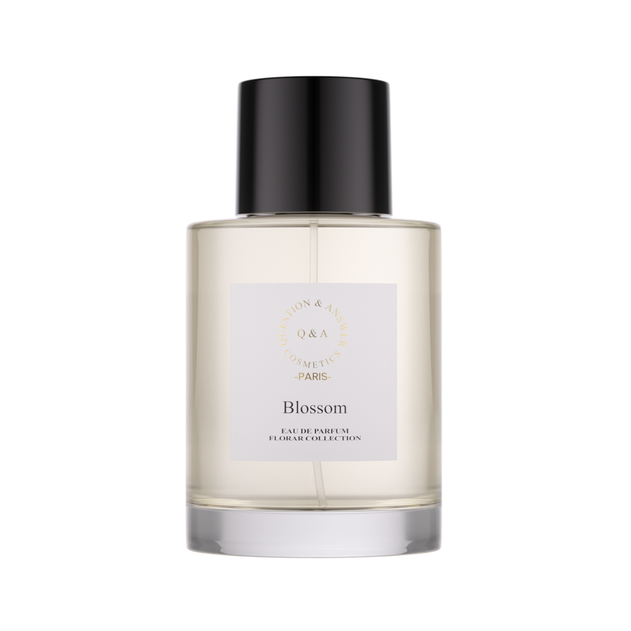 بلوسوم - كيو اند ايه